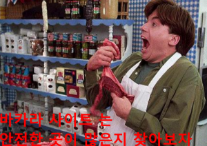 바카라 사이트